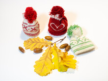 Small Knitted Hats, Acorns And Oak Leaves On A White Background