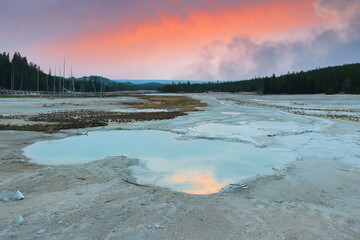 Wall Mural - Overview of Norris Geyser Basin at sunset at Yellowstone National Park, Wyoming USA.  Norris Geyser Basin is one of the Geothermal areas of Yellowstone.