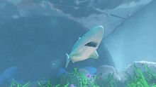 Shark In Aquarium CGI 2