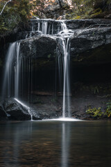 Poster - Scenic waterfalls in the middle of the forest