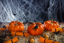 Pumpkins, Candies, Spiders And Straw Decorated Spider Web Over Black Background, Concept Of Halloween Party, Copy Space