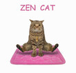 © iridi66 - A beige cat is doing yoga exercises on a pink square fitness mat. Zen cat. White background. Isolated.