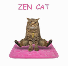 A Beige Cat Is Doing Yoga Exercises On A Pink Square Fitness Mat. Zen Cat. White Background. Isolated.