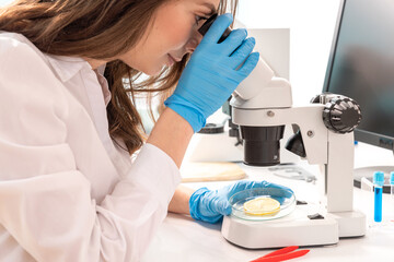 Canvas Print - Inspection of the quality of vegetables and fruits in the laboratory of food quality