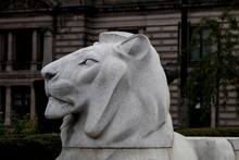 Head Of Stone Lion In George Square Glasgow Scotland