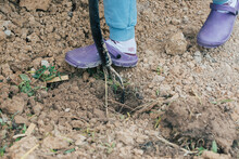 The Girl Digs The Soil With A Pitchfork In The Garden To Prepare A Hole