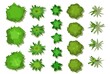 A set of trees and bushes. View from above. Height. Plant landscape. Green wildlife. Top view. Illustration in cartoon style. Isolated Vector