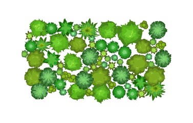 Wall Mural - small forest with height. park with trees. view from above. plant landscape. island. green wildlife.