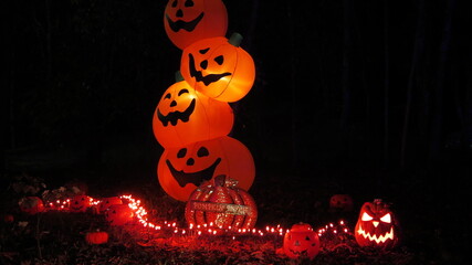 pumpkin patch on halloween night