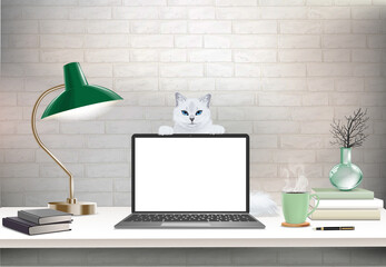 Co-working office interior with mock-up laptop, coffee cup, stationery, plants and  cat standing on a computer table.  Font view workspace vector editable illustration