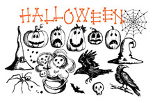 Hand Drawn Halloween Traditional Symbols. Doodle Style Illustrations Carved Pumpkin, Spider Web, Raven, Bat, Witch Hat, Skulls, Spider, Magic Potion Pot. Isolated Vector On White.