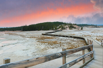 Wall Mural - Overview of Boardwalk at Norris Geyser Basin of sunset at Yellowstone National Park, Wyoming USA.  Norris Geyser Basin is one of the Geothermal areas of Yellowstone National Park