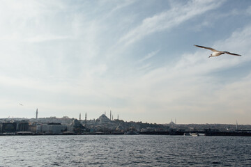  Photo with a cityscape, where a seagull flies towards Istanbul