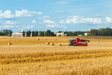 Wall Mural - Combine harvester harvesting wheat