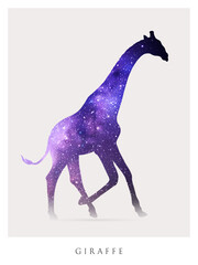 Sticker - Giraffe silhouette. Isolated abstract animal outline. Night starry sky