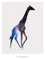 Sticker - Giraffe silhouette. Isolated abstract animal outline. Night starry sky