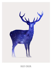 Poster - Deer silhouette. Isolated abstract animal outline. Night starry sky