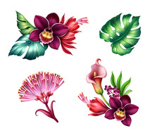 Digital Botanical Illustration Of Assorted Tropical Leaves And Flowers Clip Art Elements Isolated On White Background, Floral Arrangements
