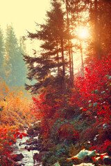autumn landscape background. beautiful vertical picture of a colorful fall in mountains with river, 