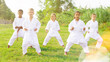 © JackF - International team of tweens in white kimonos exercising new techniques during outdoors group taekwondo class on green lawn on summer day