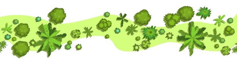 Wall Mural - jungle forest top view. horizontal seamless composition. overgrown pretty rainforest. isolated on a 