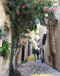 Scenic street alley view of historic houses and buildings in Old Town downtown Yaffa Jaffa, Israel near Tel Aviv with romantic backstreets, parks and medieval facades and skyline