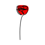 Fototapeta Sypialnia - Rose flower oneline continuous line art premium vector set