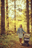 Fototapeta Na ścianę - mom with a stroller in the autumn park for a walk, landscape autumn view october alley yellow park
