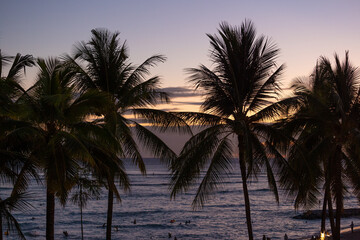 Canvas Print - Palm trees at evening sunset in tropical resort