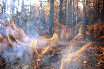 Wall Mural - forest fire background landscape, abstract fire and smoke in the forest, drought trees are burning