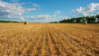 © APHOTOSTUDIO - Agricultural wheat field after harvest.