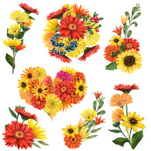 Autumn Floral Bouquets Of Asters And Gerber Flowers, Green Leaves, Branches And Berries Set, Isolated Flower Arrangements On White Background