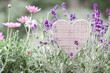 Blumenwiese in pink und blau violett mit Herz Platz für Text