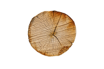Poster - birch log cut isolated on white background