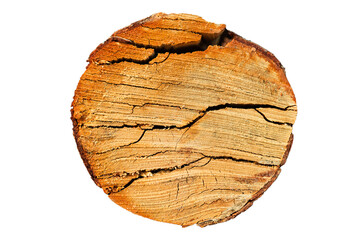 Poster - birch log cut isolated on white background