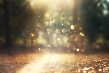 Wall Mural - blurred abstract photo of light burst among lonely tree and glitter golden bokeh lights