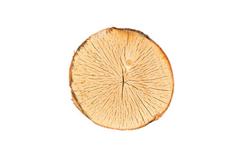 Poster - birch log cut isolated on white background