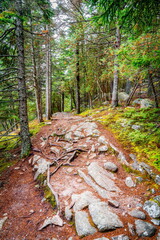 Sticker - Trail in Acadia National Park