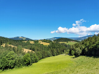 Wall Mural - Gorgeous shot of a mountainous grass field surrounded by trees and a blue sky above