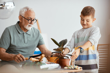 Wall Mural - Smiling boy repots house plant into new pot with his grandfather at home.