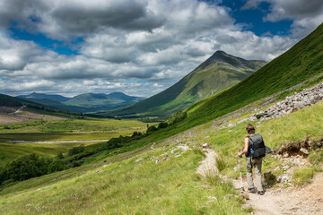 Wall Mural - Along the West highland Way in Scotland. A hiker walks on the hiking trail in a hilly landscape dominated by the Beinn Dorain.