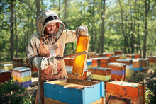 The Beekeeper Uses A Bee Brush. The Process Of Harvest Honey In The Apiary.