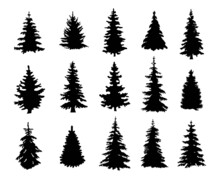 Silhouettes Of Realistic Pine Trees