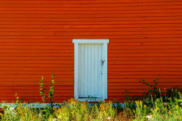 The exterior of a vintage orang wooden exterior wall of a house. It has a white wood door with the paint peeling. The building has a white trim board. There are autumn shrubs in front of the door. 