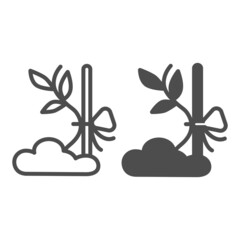 Poster - Sapling sprout tied to prop line and solid icon, gardening concept, plant tied to stick vector sign on white background, outline style icon for mobile concept and web design. Vector graphics.