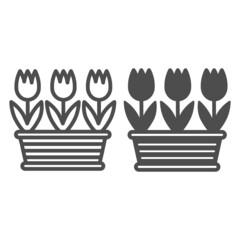 Poster - Pot of tulips line and solid icon, gardening concept, three tulips in flowerpot vector sign on white background, outline style icon for mobile concept and web design. Vector graphics.