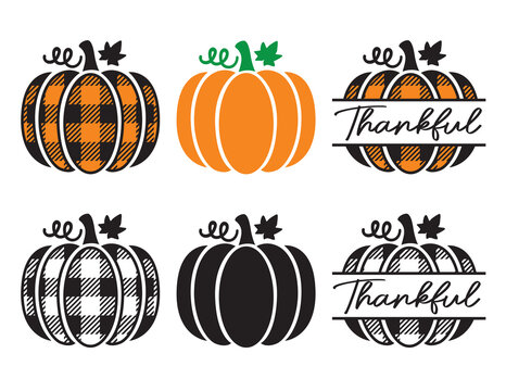 Fototapete - Set of cute decorative pumpkins with plaid pattern. Pumpkin split frame vector illustration.