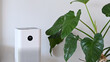 White air purifier and houseplant in living room for fresh air and healthy wellness life.