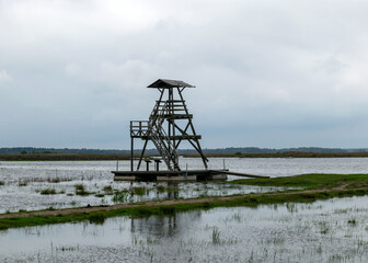  view of bird watching tower, cloudy day, gray clouds, landscape with lake and reeds by the lake