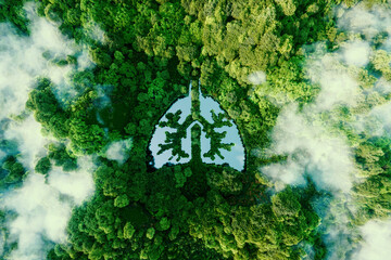 Wall Mural - a metaphorical picture of the lungs of planet earth. an icon in the form of a lung-shaped pond in th